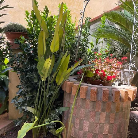 Profumo D'Arancio B&B A Pedalino Appartamento *